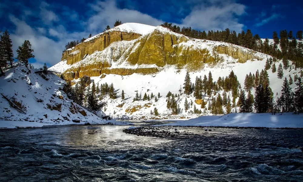 Yellowstone National Park: Must-Visit Facts, Tips, and Highlights