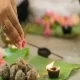 Pitru Paksha Shradh in the USA